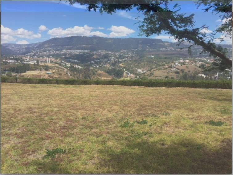 Land in Quito, Pichincha, Ecuador 1 - 18661661