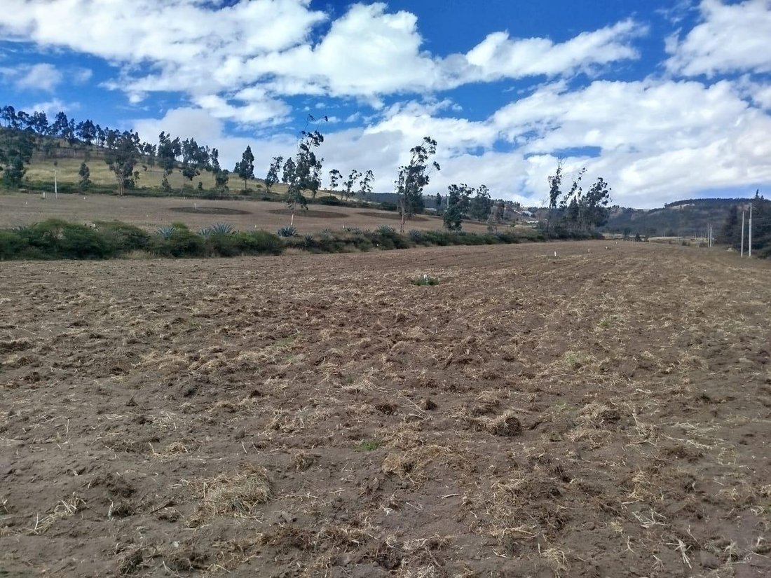 Land in Pambamarca, Pichincha, Ecuador 4 - 18661533