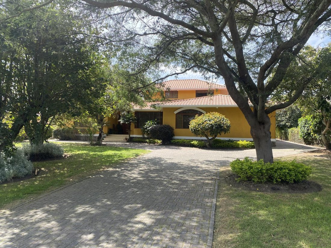 House in Quito, Pichincha, Ecuador 3 - 18660836