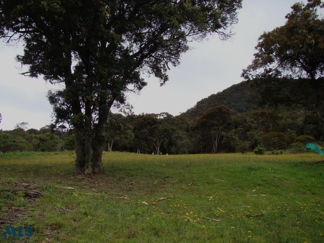 Land in Chía, Cundinamarca, Colombia 5 - 18666205