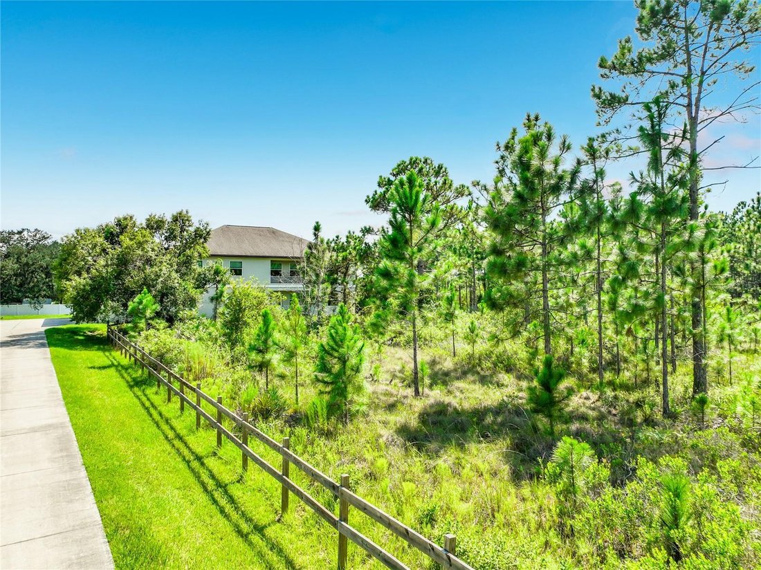 House in Orlando, Florida, United States 4 - 18669266