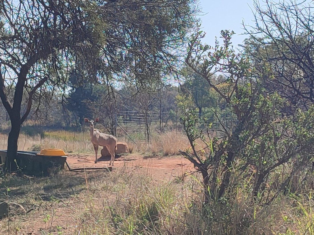 Farm Ranch in Rustenburg, North West, South Africa 2 - 18665103