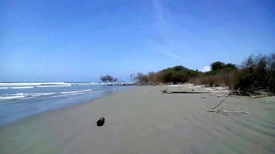 Land in Bolívar, Esmeraldas, Ecuador 4 - 18661386