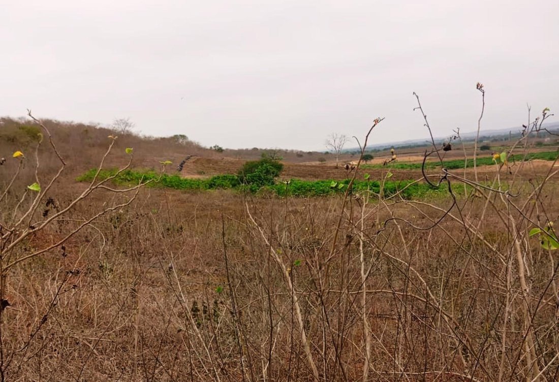 Land in Santa Elena, Santa Elena, Ecuador 4 - 18661482