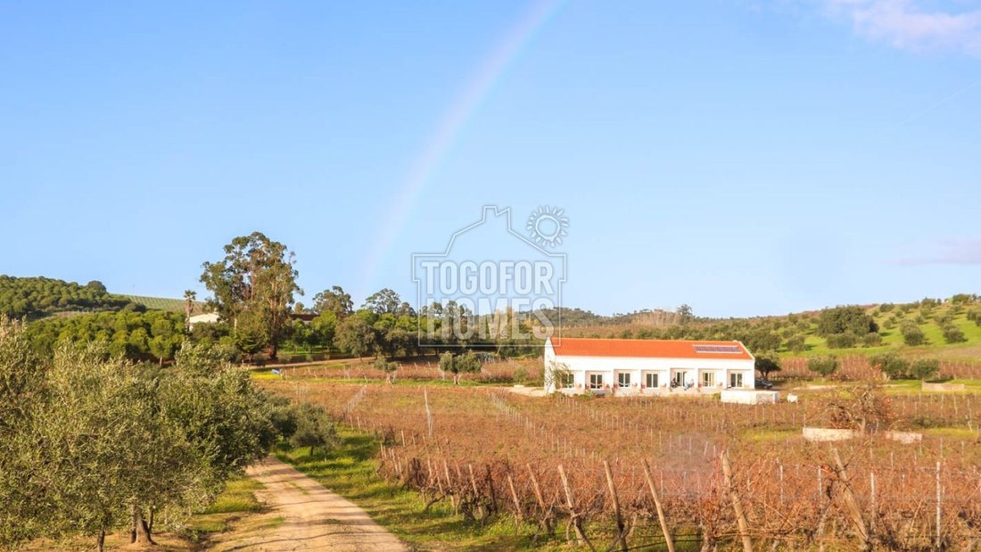Vila de Frades, Beja District, Portugal 3 - 15176522