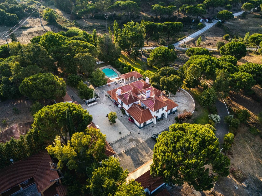 Finca in Santo Estevao, Santarem District, Portugal 4 - 18660917