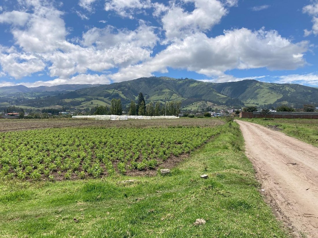 Land in Quito, Pichincha, Ecuador 5 - 18660228