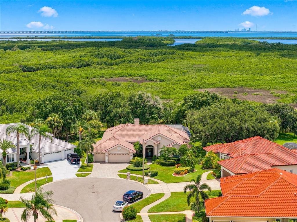 House in Tampa, Florida, United States 1 - 18667321