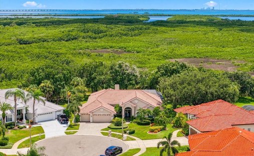 Haus in Tampa, Florida, Vereinigte Staaten 1