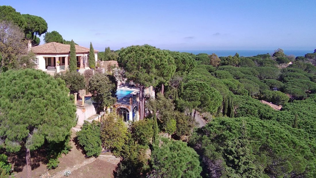 Haus in Ramatuelle, Provence-Alpes-Côte d'Azur, Frankreich 4 - 14001485