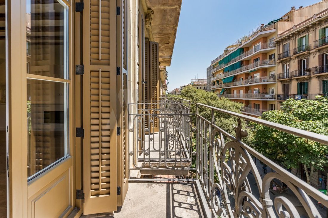 Apartment in Eixample, Barcelona, Spain 4 - 18665888