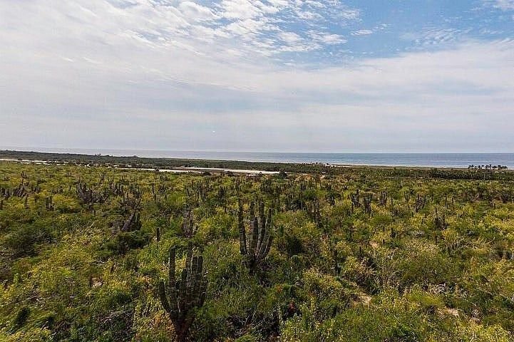 Land in Todos Santos, Baja California Sur, Mexico 5 - 18664615