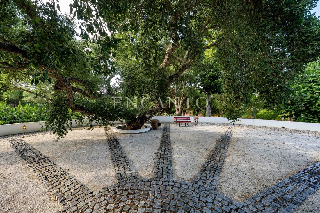 Finca in Santo Estevao, Santarem District, Portugal 4 - 18660917