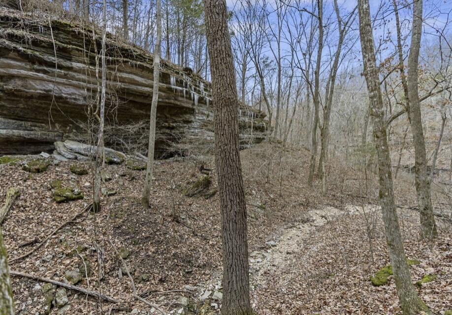House in Branson West, Missouri, United States 4 - 18663251
