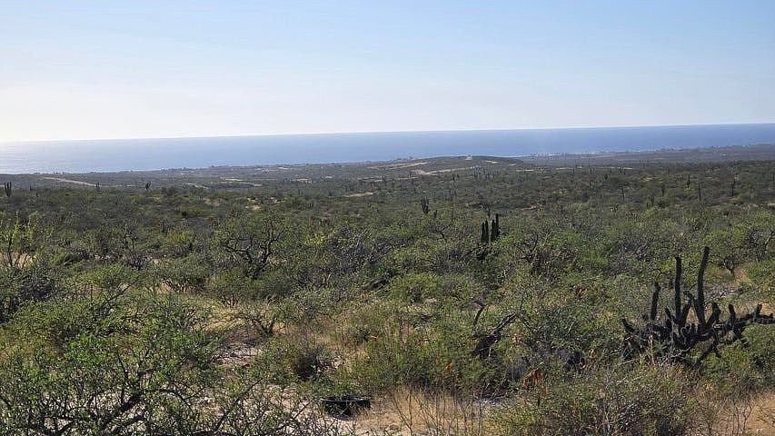 Land in Todos Santos, Baja California Sur, Mexico 3 - 18664642