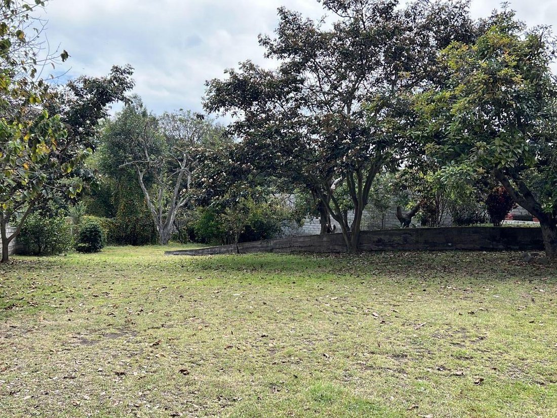 Land in Quito, Pichincha, Ecuador 1 - 18661614