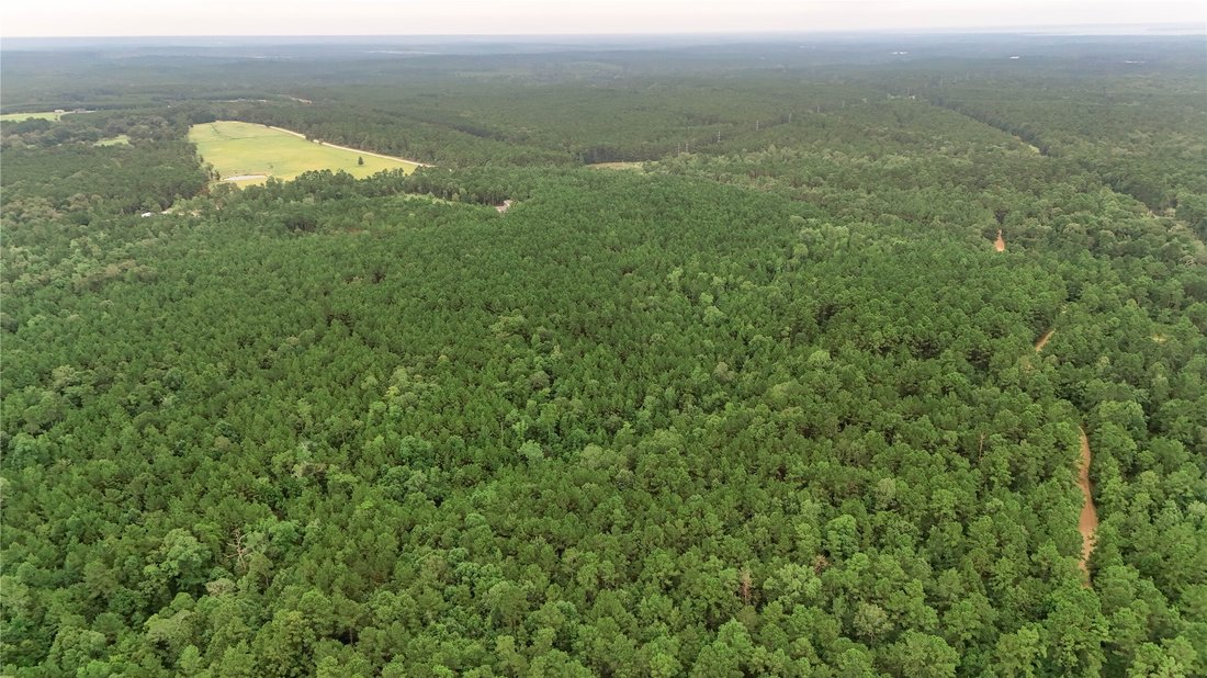 Land in Livingston, Texas, United States 1 - 18659734
