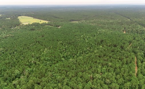 Land in Livingston, Texas, United States 1