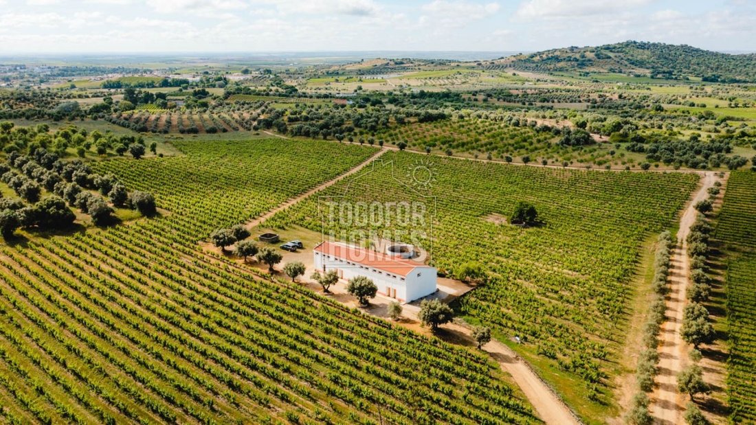 Vila de Frades, Beja District, Portugal 1 - 15176522