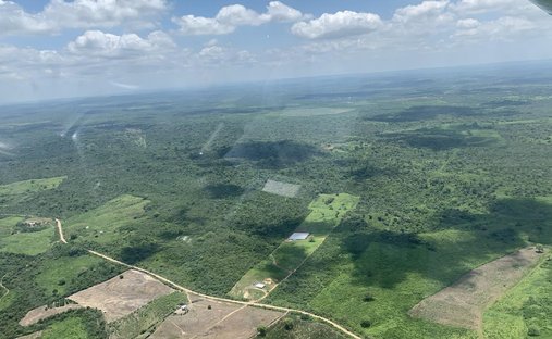 Land in Daular, Guayas, Ecuador 1