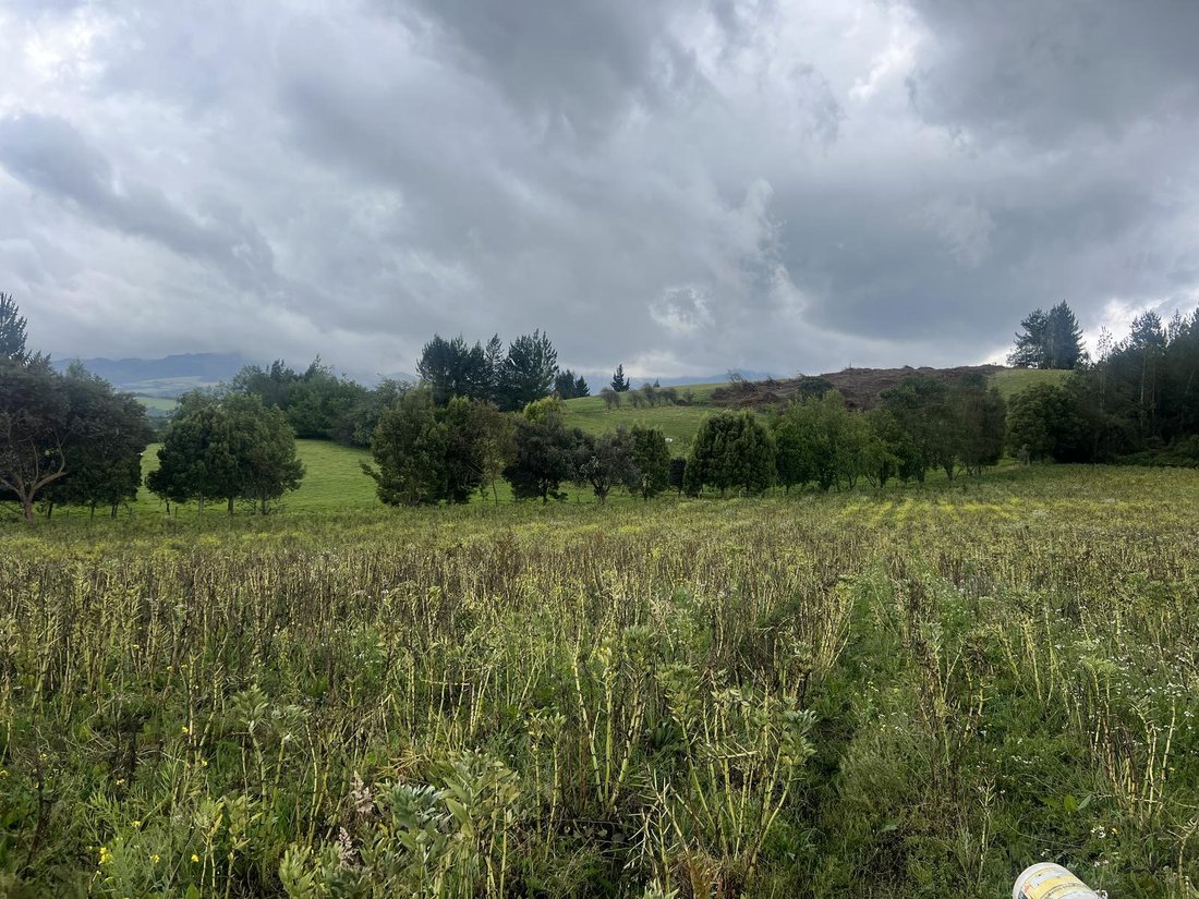 Land in Machachi, Pichincha, Ecuador 1 - 18661699
