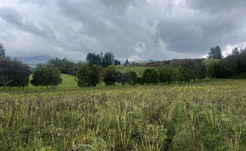 Land in Machachi, Pichincha, Ecuador 1