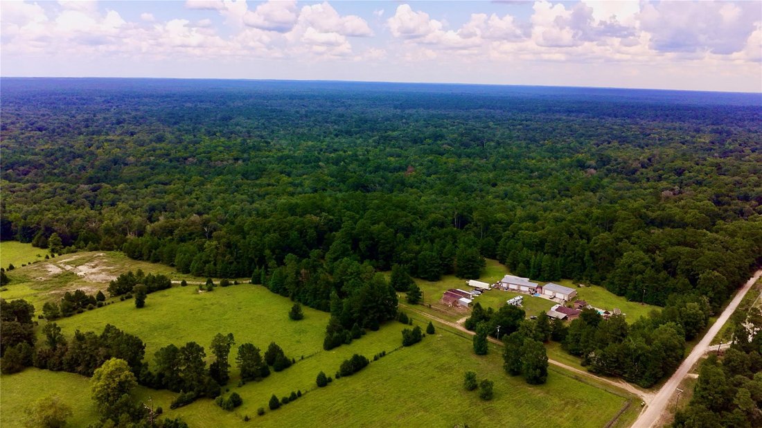 House in Livingston, Texas, United States 1 - 18666349