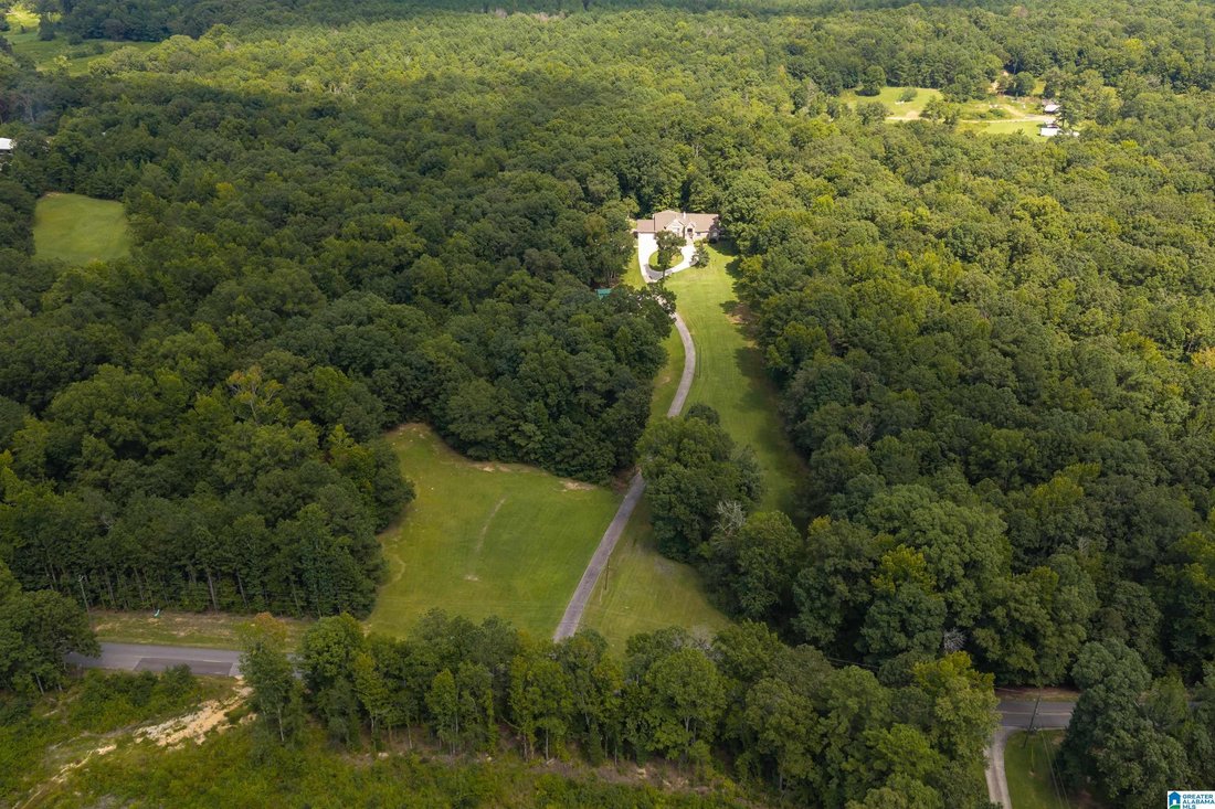 House in Pell City, Alabama, United States 2 - 18659754