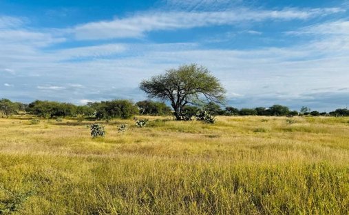 Land in Presita de Santa Rosa, Guanajuato, Mexico 1