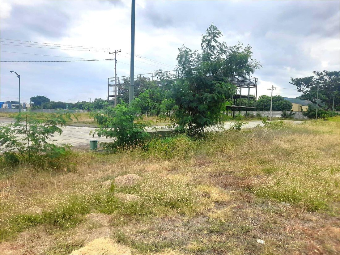 Land in Guayaquil, Guayas, Ecuador 5 - 18660126