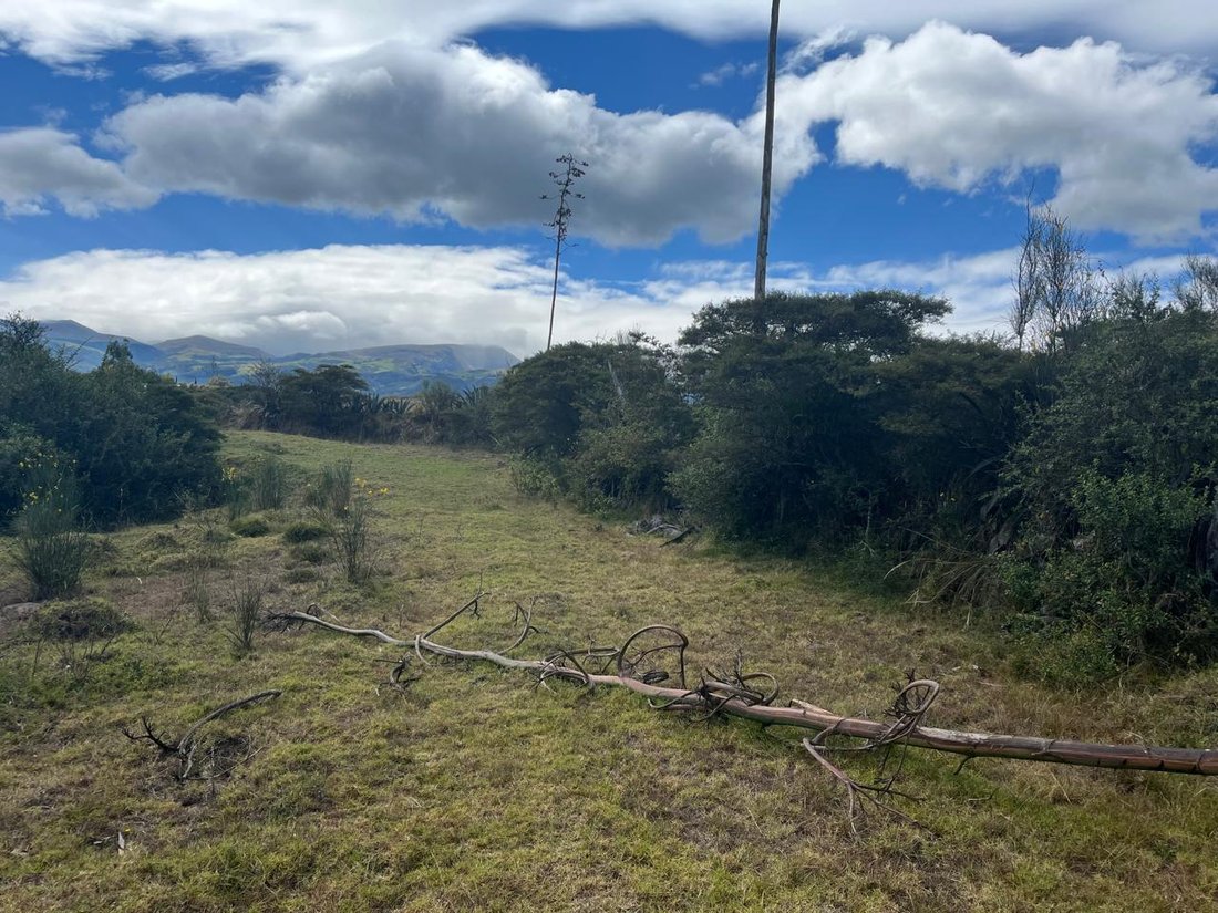 Land in Quito, Pichincha, Ecuador 5 - 18661499