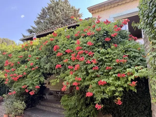 House in Cotignac, Provence-Alpes-Côte d'Azur, France 2 - 18327864