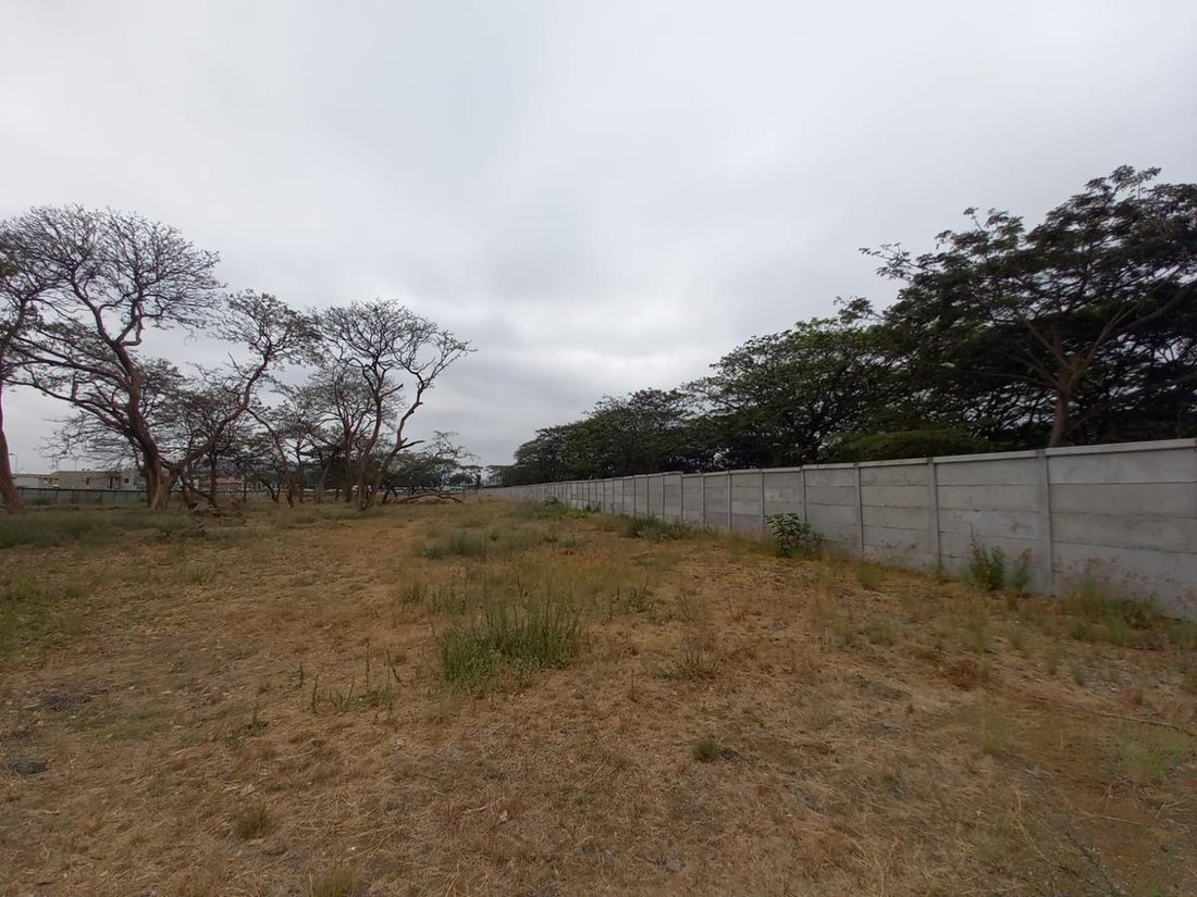 Land in Guayaquil, Guayas, Ecuador 5 - 18660303