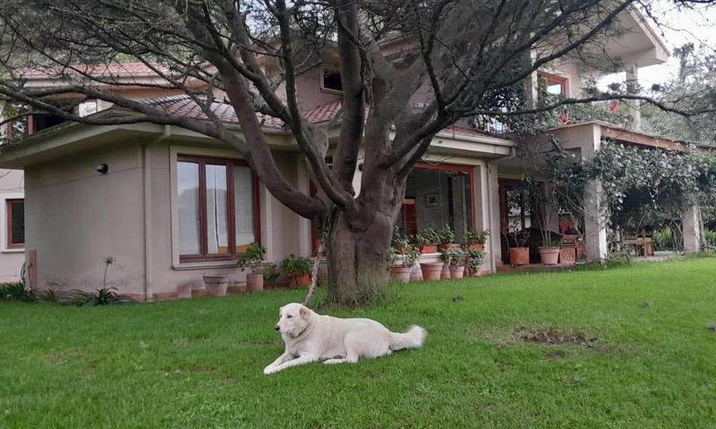 Land in Quito, Pichincha, Ecuador 4 - 18661436