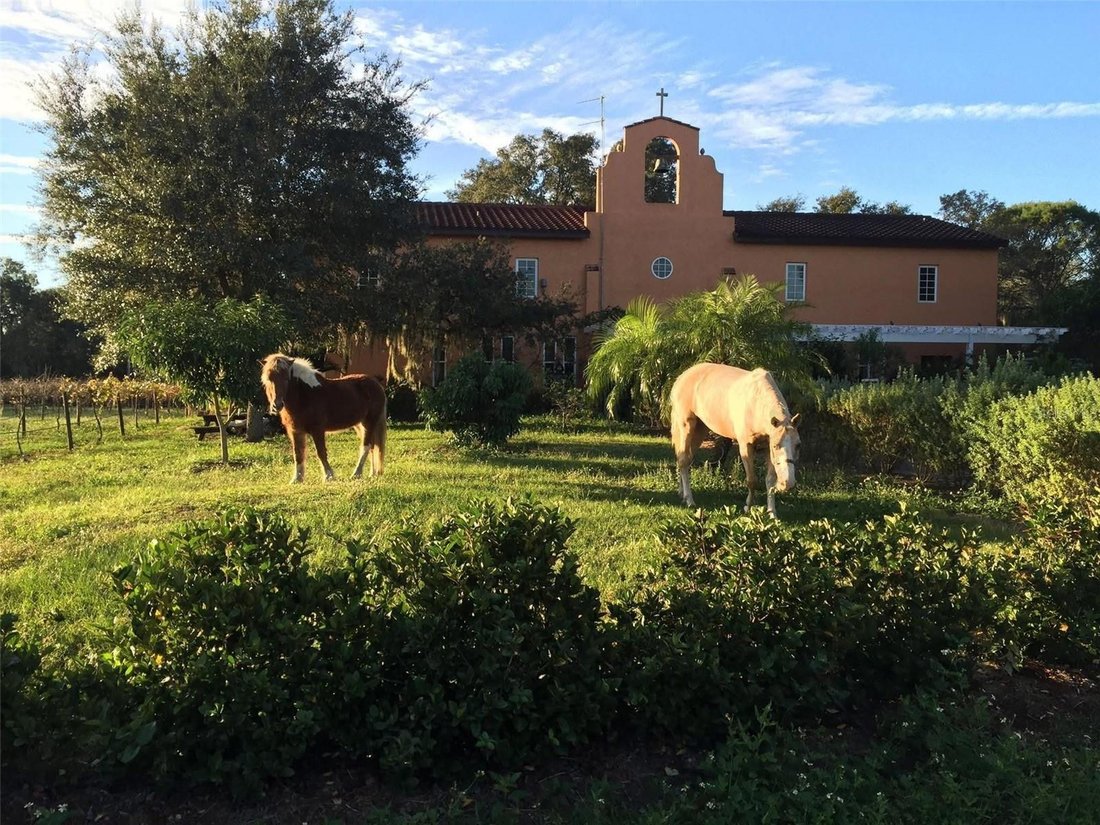House in Bradenton, Florida, United States 5 - 18663033