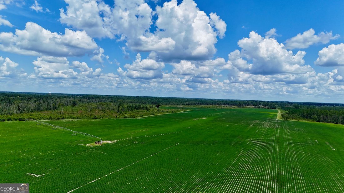 Farm Ranch in Alma, Georgia, United States 1 - 18663160