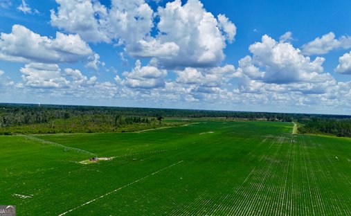 Farm Ranch in Alma, Georgia, United States 1