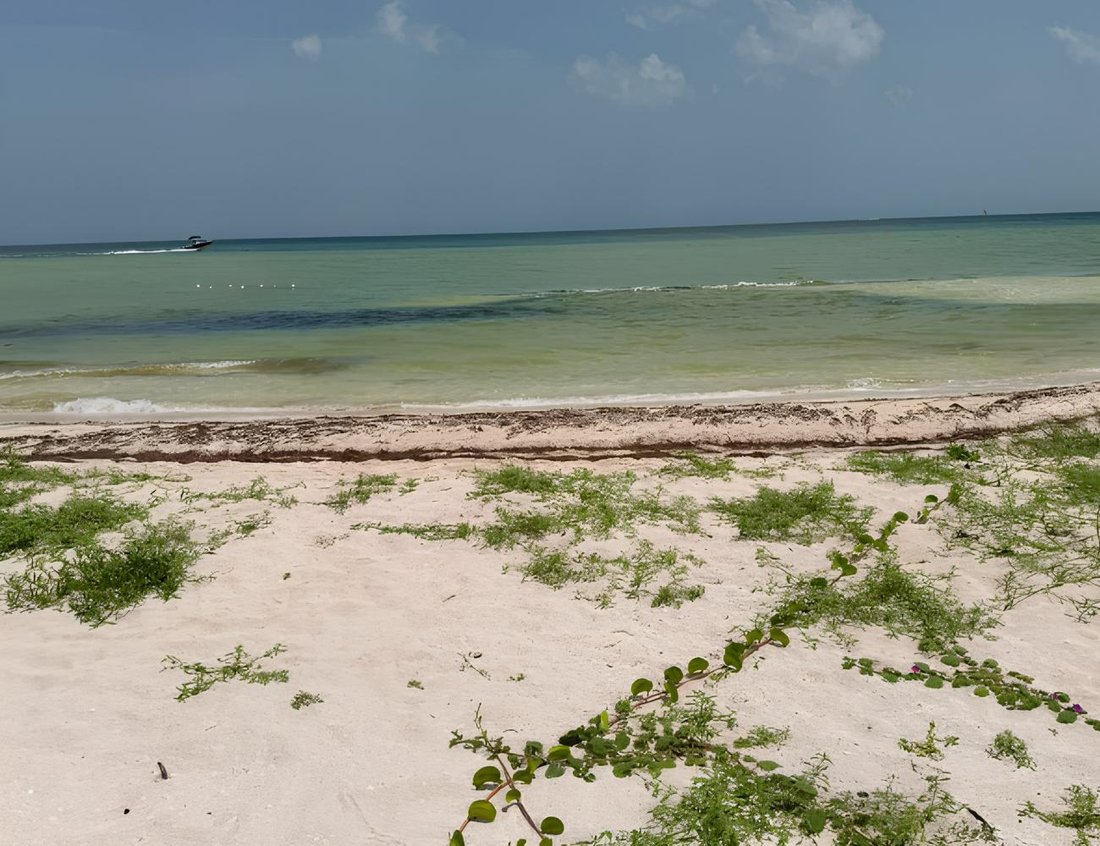 Land in San Benito, Yucatan, Mexico 1 - 18661200