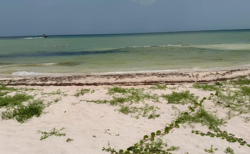 Land in San Benito, Yucatan, Mexico 1
