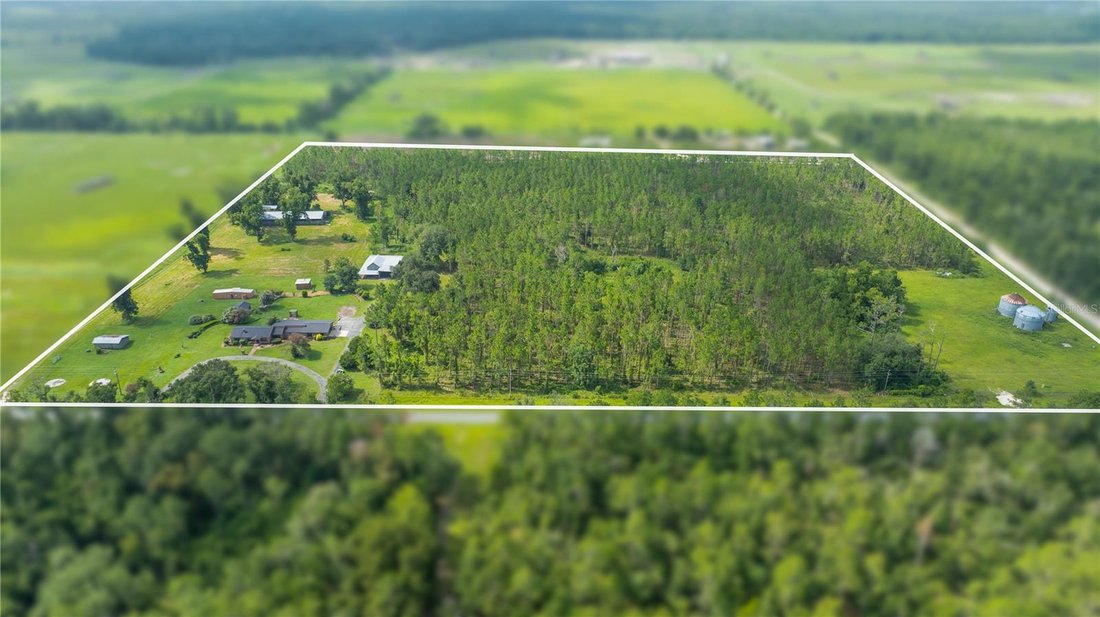 Farm Ranch in Live Oak, Florida, United States 2 - 18663068