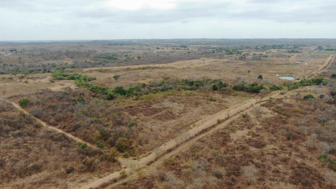 Land in Guayaquil, Guayas, Ecuador 1 - 18659924