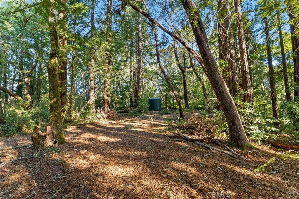 Terrain à Aptos, Californie, États-Unis 3 - 17160172