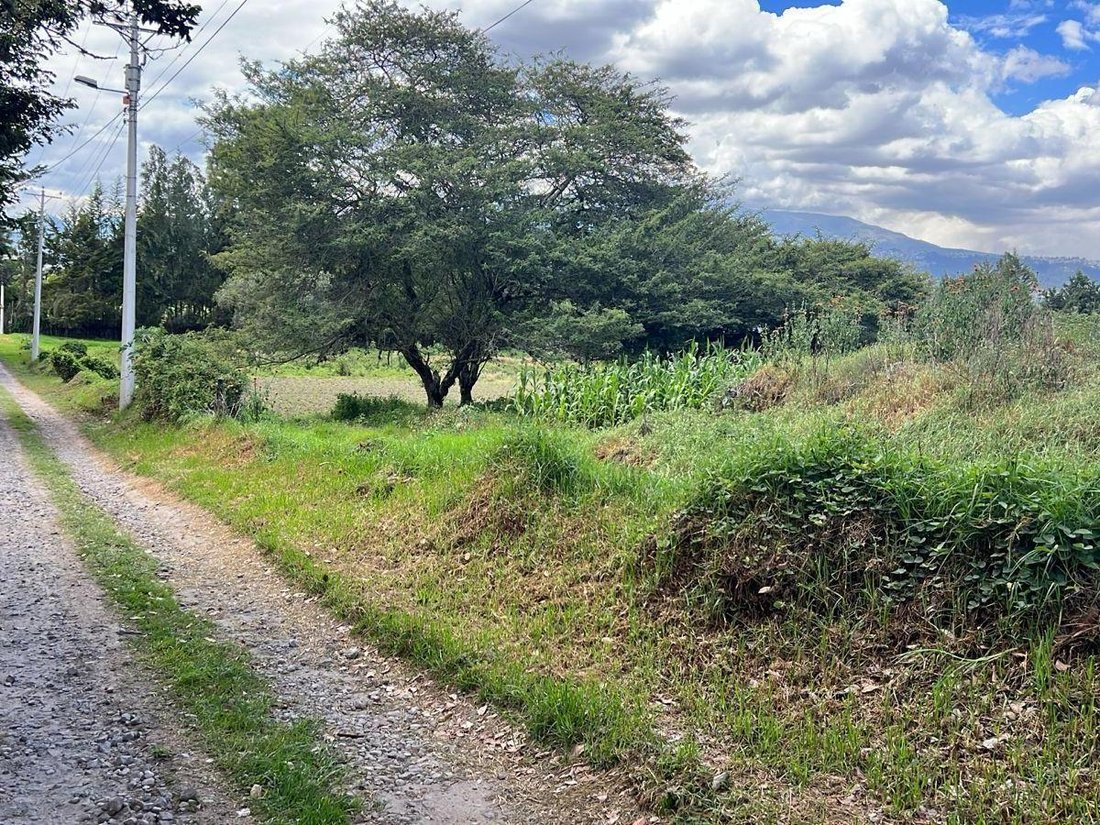 Land in Quito, Pichincha, Ecuador 5 - 18661666