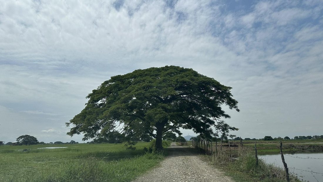 Land in Samborondón, Guayas, Ecuador 2 - 18660781