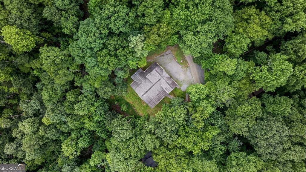 House in Cherry Log, Georgia, United States 5 - 18664394