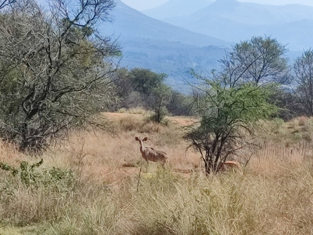 Farm Ranch in Rustenburg, North West, South Africa 1 - 18665103
