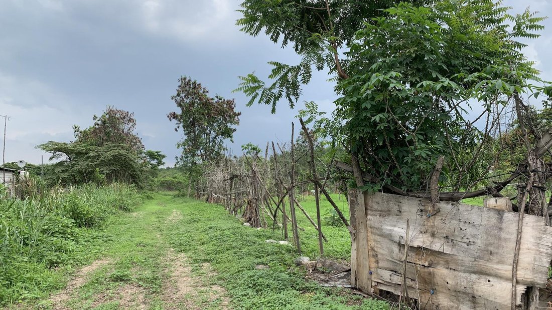 Land in Guayaquil, Guayas, Ecuador 4 - 18660445