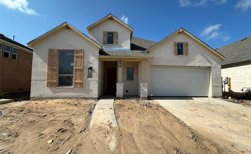 House in Manvel, Texas, United States 1