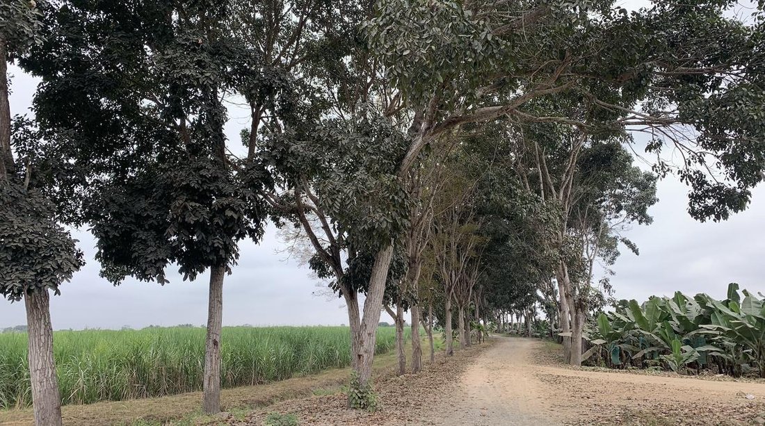 Farm Ranch in Nueva Era, Guayas, Ecuador 4 - 18660274