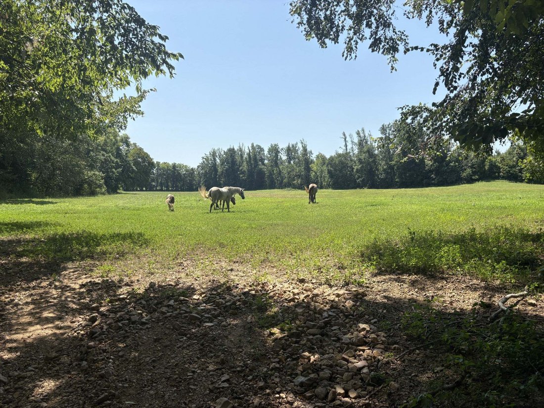 Land in Waverly, Tennessee, United States 5 - 18663774